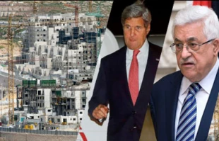 Israel resumed settlement policy