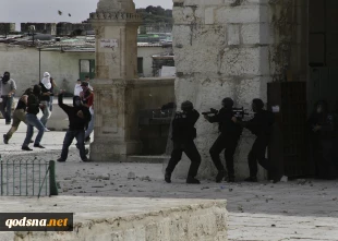 الکنیست: هناک انتفاضة بالقدس بسبب "الجرف الصامد"