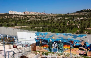 Israeli ethnic cleansing by pines