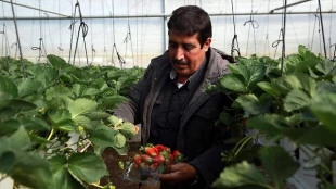 توقف واردات اسراییلی به فلسطین