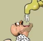 Help rebuild Gaza