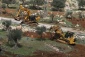 خاخام اسراییلی: قطع درختان فلسطینی ها واجب است