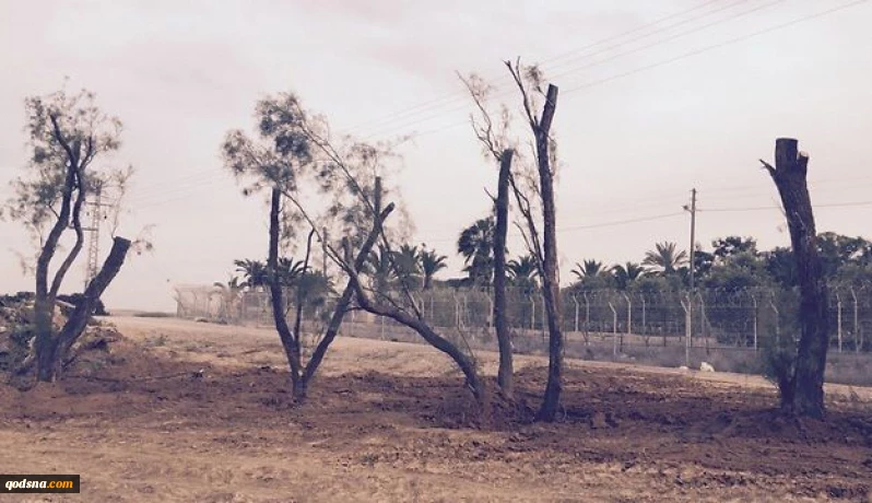 13 ملیون دولار لحمایة غلاف غزة من قناصة حماس