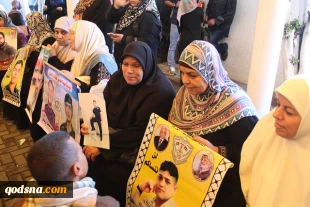 Report on Palestinian detainees