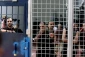 الأمم المتحدة تدعو إسرائیل لإنهاء الاعتقال الإداری بحق الفلسطینیین