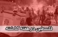فلسطین در هفته اول اردیبهشت ماه 94