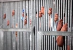 Force-feeding law, license to kill captives