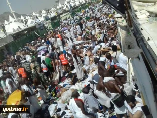 Muslim pilgrims aggressed both at Aqsa and Mecca