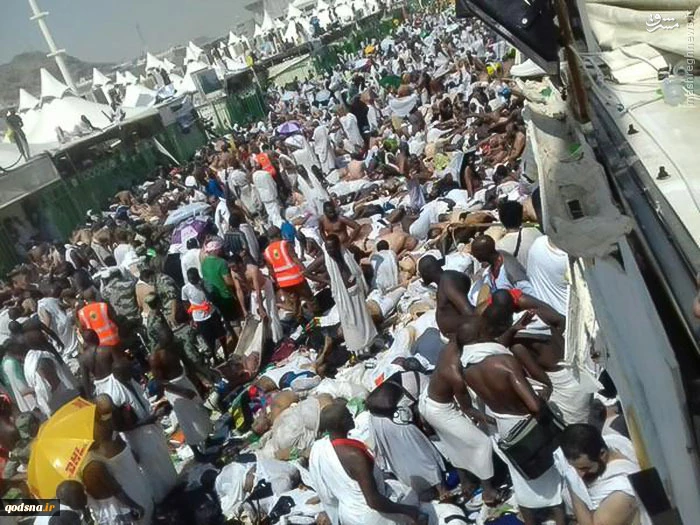 Muslim pilgrims aggressed both at Aqsa and Mecca