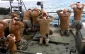 Seizure of US boat also bears a message for Israel