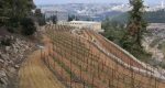 اتحاد بلدیات إیطالیا :