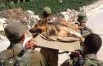 Zionist daily admits inefficiency of Israeli military
