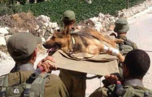 Zionist daily admits inefficiency of Israeli military