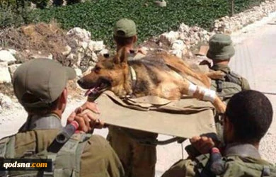Zionist daily admits inefficiency of Israeli military