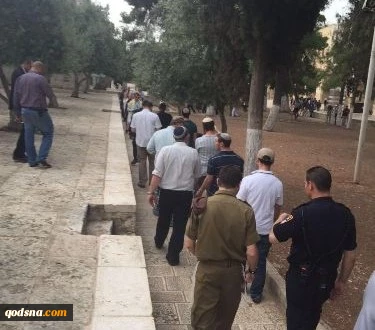 اکثر من 40 متطرف یقتحمون الاقصى بحراسة شرطة وجیش الاحتلال