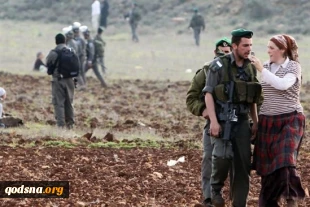 مصادره 1250 جریب از اراضی فلسطینیان در نابلس