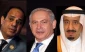 Saudi should have fought Israel rather than Yemen