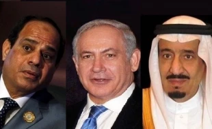 Saudi should have fought Israel rather than Yemen