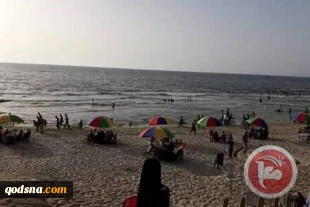فصل خطوط الکهرباء المصریة عن جنوب قطاع غزة بسبب الصیانة