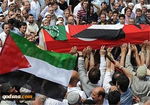 شهادت 53 فلسطینی از ابتدای سال 2016
