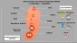 Infography: Palestinian anti-occupation operations since Oct 2015