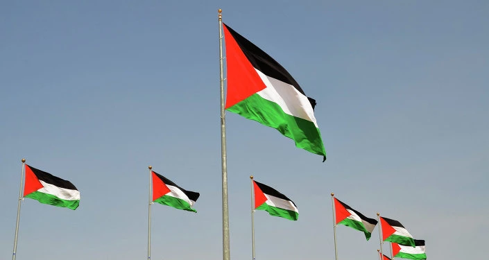Palestinian would rather take lesson from South Africa fate