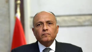 وزیر خارجه مصر: قتل کودکان فلسطینی توسط اسرائیل عملیات تروریستی نیست