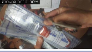 بازداشت دختر فلسطینی به اتهام انجام عملیات شهادت طلبانه