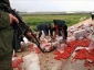 رشد دوبرابری اقتصاد فلسطین در صورت عدم اشغالگری
