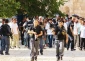 هتک حرمت شهرک نشینان صهیونیست به مسجد الاقصی