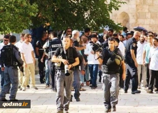 هتک حرمت شهرک نشینان صهیونیست به مسجد الاقصی