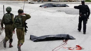 موافقت 65 درصدی صهیونیست‎ها با اعدام خیابانی فلسطینی‎ها