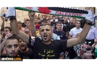 شهادت یک فلسطینی در غزه؛ شمار شهدای انتفاضه 238 تن