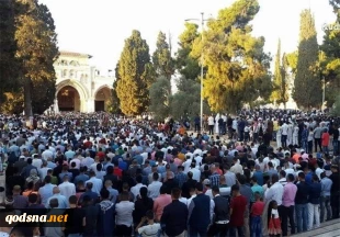 دعوت گروههای فلسطینی برای اقامه نماز عید قربان در مسجد الاقصی