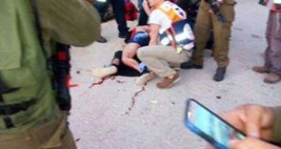 شهادت یک فلسطینی درعملیات شهادت طلبانه/تعداد شهدای انتفاضه 246 نفر