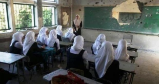 کمبود شدید معلم در مدارس غزه/ لزوم استخدام 800 معلم جدید