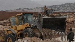 تخریب چهار هکتار از زمین‎های زراعی فلسطینی‎ها در الخلیل