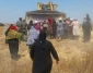 تخریب روستای العراقیب برای یکصد و چهارمین بار