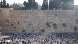 صحن دیوار براق مسجدالاقصی در قرق صهیونیستها+تصاویر