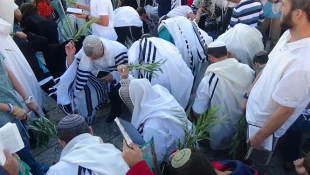 صحن دیوار براق مسجدالاقصی در قرق صهیونیستها+تصاویر