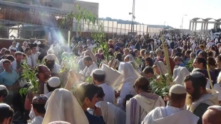 صحن دیوار براق مسجدالاقصی در قرق صهیونیستها+تصاویر