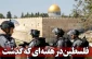فلسطین در هفته ای که  گذشت