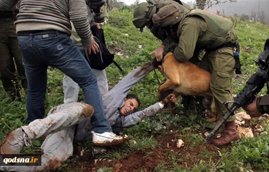 Israelis among most enthusiastic supporters of torture