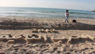 گزارش تصویری؛

ابتکار هنرمند فلسطینی برای نمایش تاریخ فلسطین 10