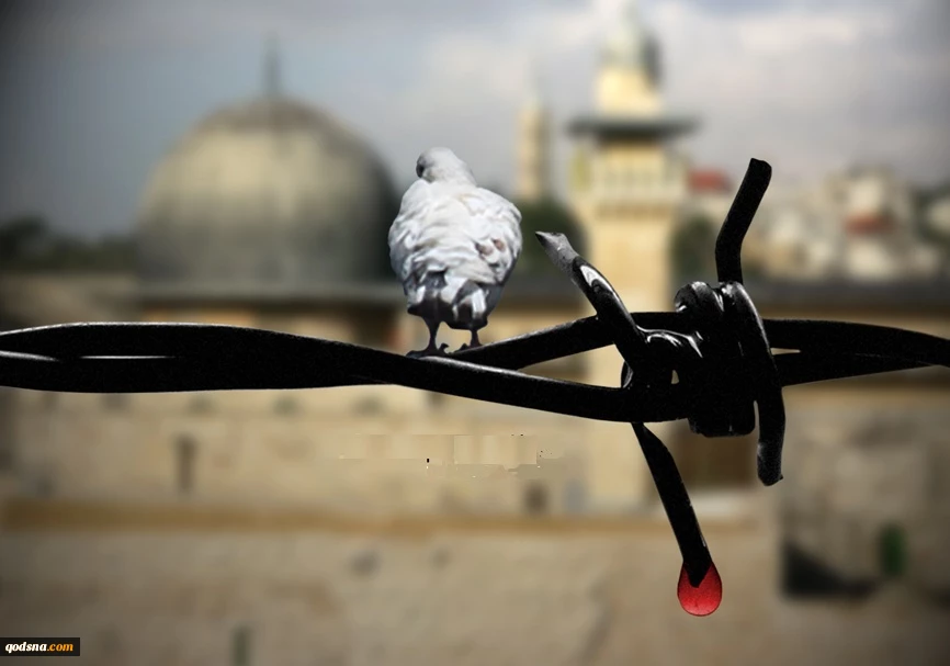 آه ای فلسطین شهر در ظلمت نشسته... 2