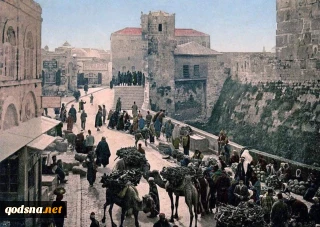 منطقه باب الخلیل قدس در سال 1890