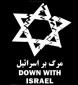 تکلیف حمایت از فلسطین
از منظر قانون اساسی