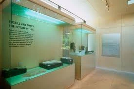Palestine Museum of Natural History opens