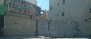گزارش اختصاصی قدسنا/

محاصره سی روزه مردم العوامیه/ صدای مظلومیتی که شنیده نمی‌شود+ فیلم و تصاویر 11