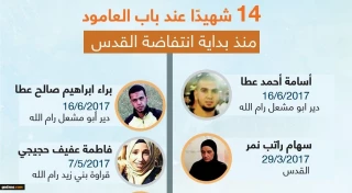 Info-graphics: 14 martyrs at Bab al-Amoud gate